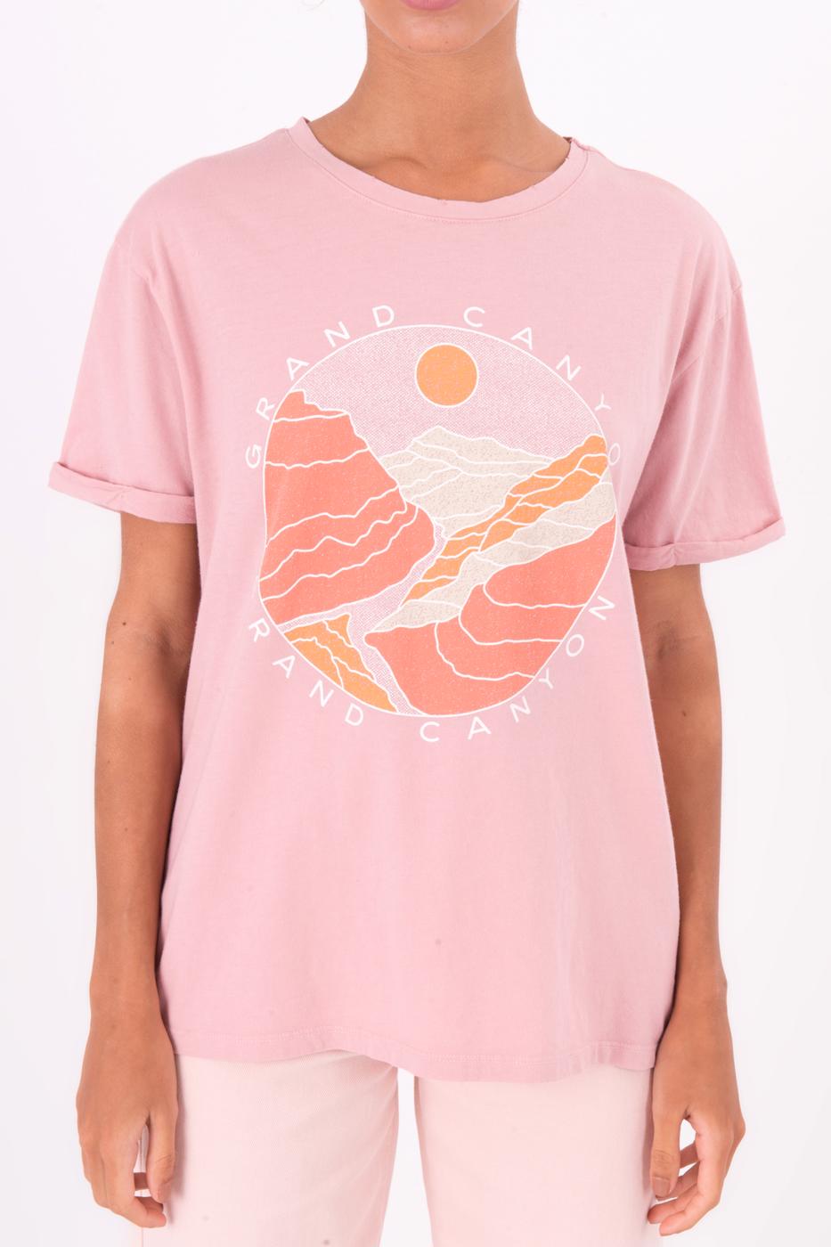 Bayan Pudra Ön Baskı Detaylı Yıkama Efektli Tshirt