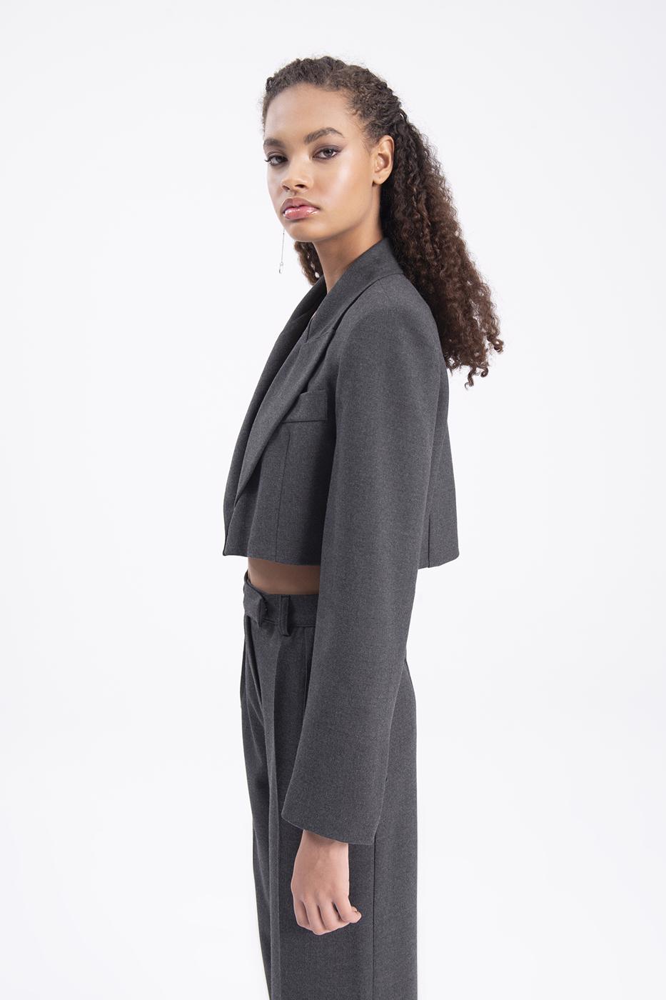 Bayan Antrasit Tek Düğme Crop Ceket