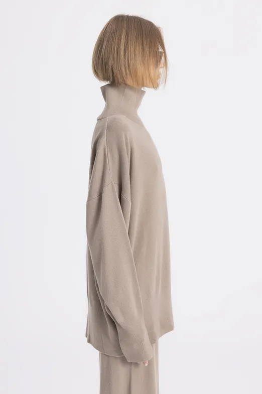 Bayan Vizon Dik Balıkçıl Yaka Triko Kazak - BSL