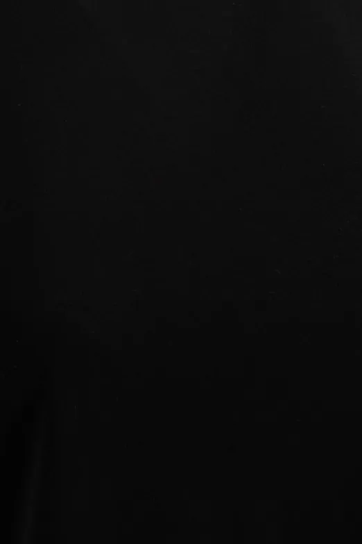 Bayan Siyah Vatkalı Basic Tshirt - BSL